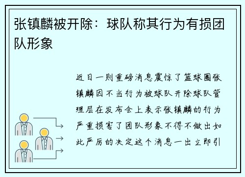 张镇麟被开除：球队称其行为有损团队形象